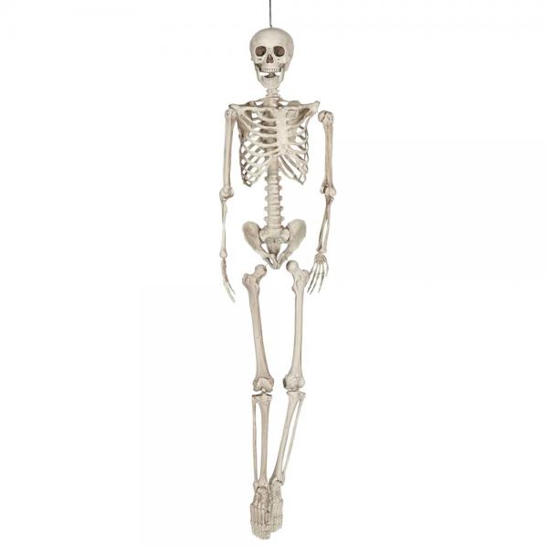 skeleton halloweeni 160 cm plastic